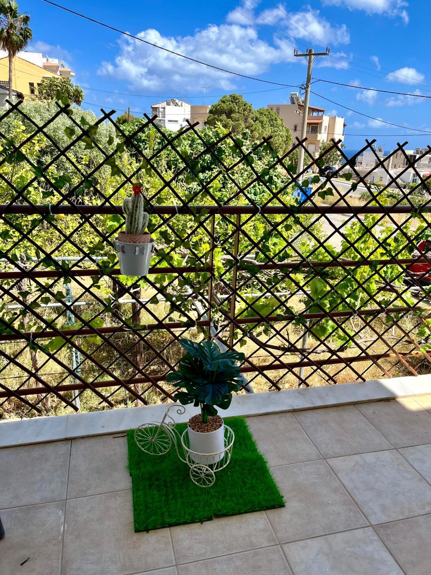 פליאוחורה Dream Apartments מראה חיצוני תמונה